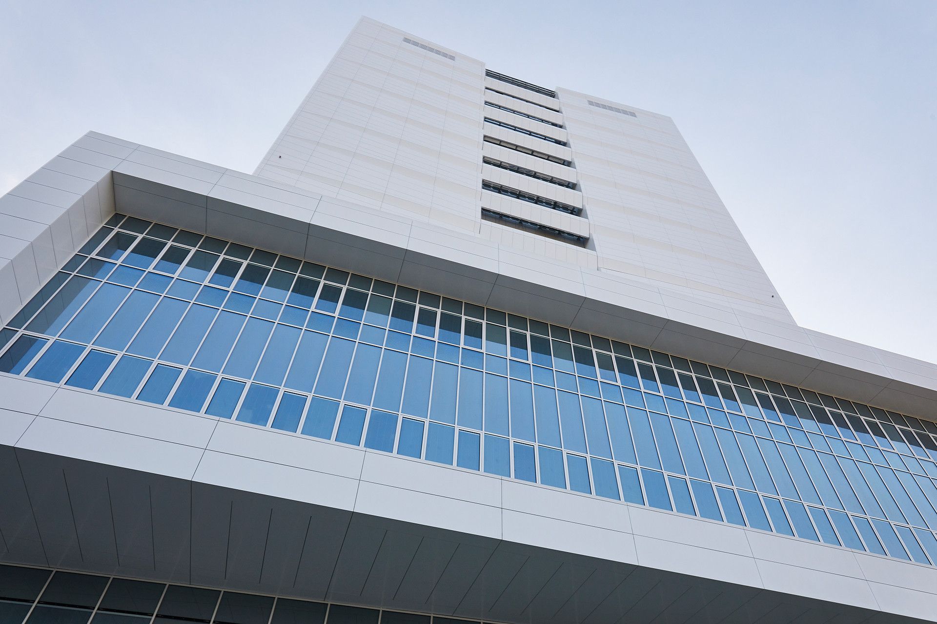 Immagine 4 - IRCCS Galeazzi Hospital