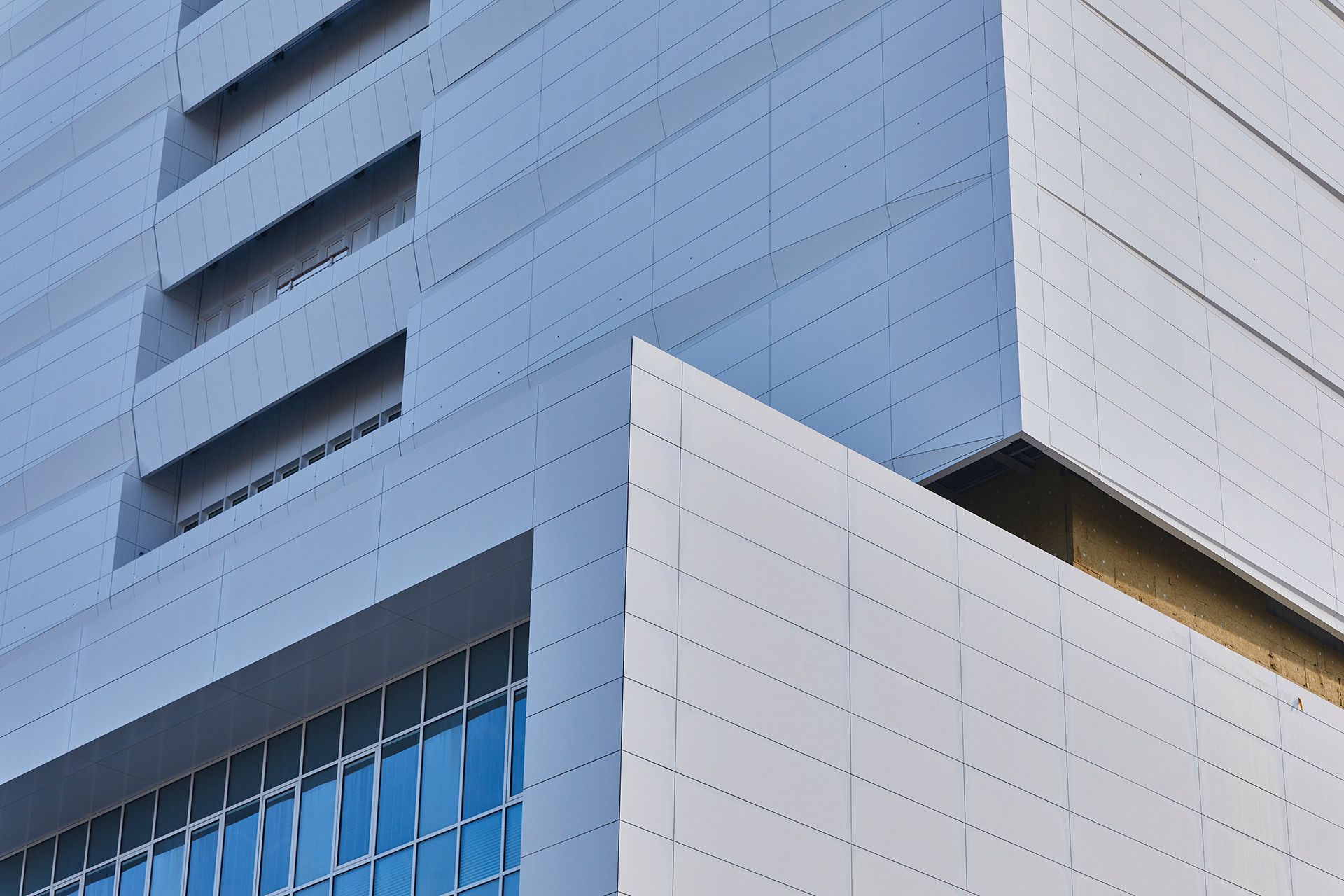 Immagine 5 - IRCCS Galeazzi Hospital